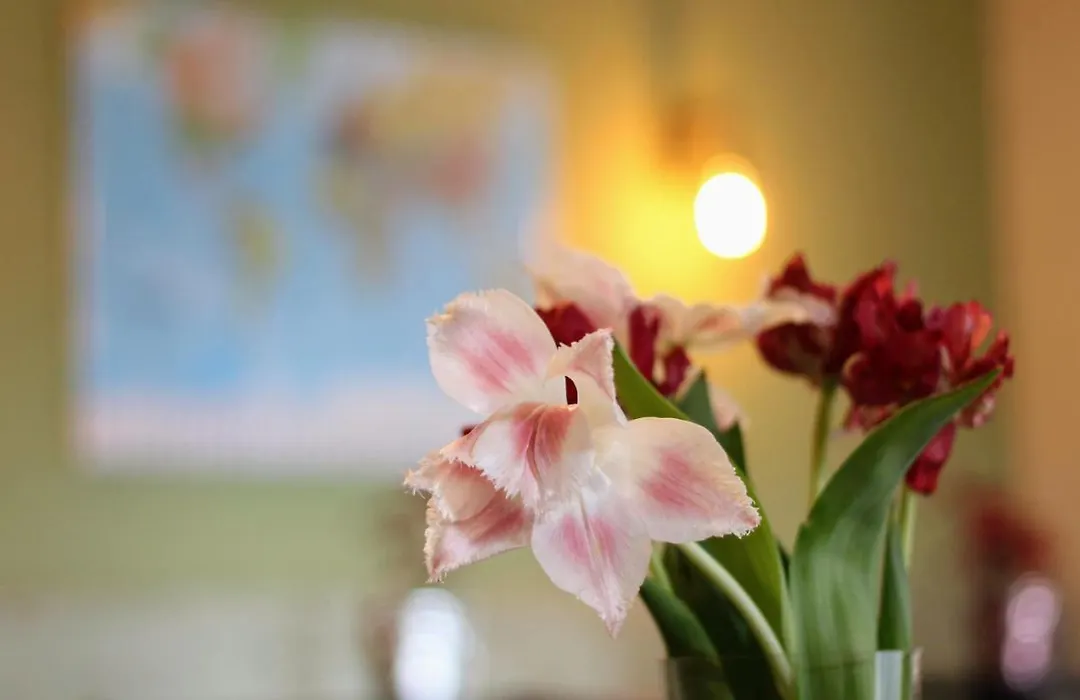 Bed&Breakfast De Grote Byvanck-1